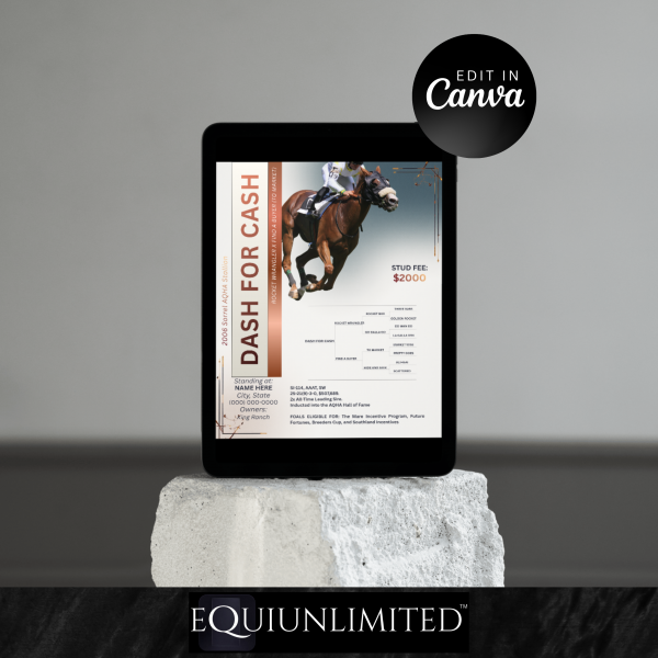 Stallion Ad Canva Template 1626C