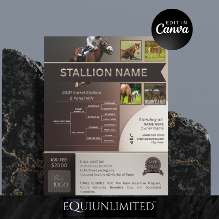 Stallion Ad Canva Template -11026A - Image 2