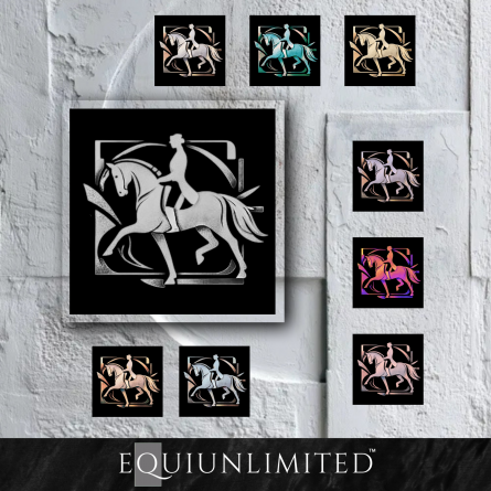 'The Riding Crest' - Dressage logo w/9 variations included - Image 8
